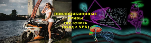 прущие грибы Нея