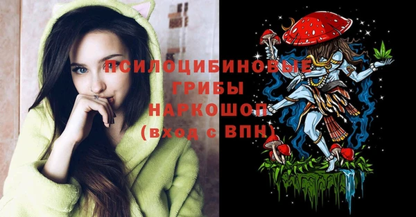 прущие грибы Нея